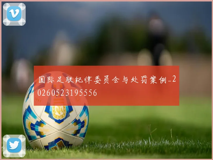 国际足联纪律委员会与处罚案例_20260523195556